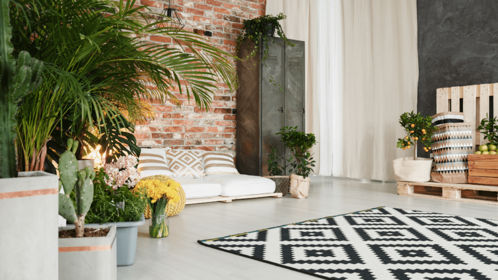 Como Decorar Sua Sala com Plantas Naturais: Dicas e Ideias Criativas