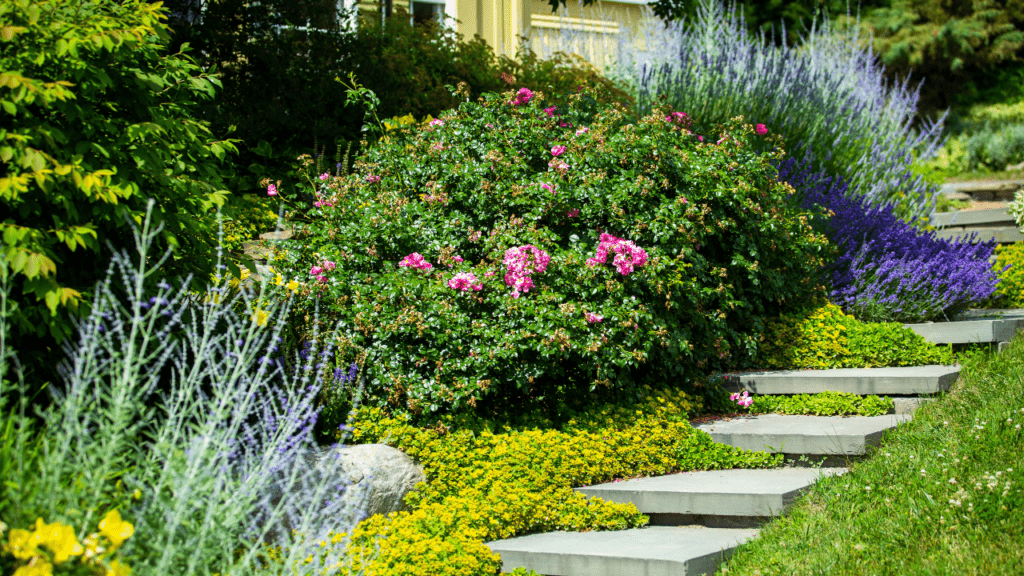 Dicas para uma Decoração de Escada com Plantas