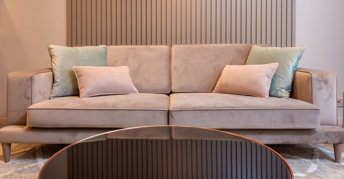 Como limpar os carpetes