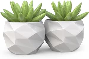 2 Vasos Cachepot Suculenta Ervas Decora Mesh Mini Pp58