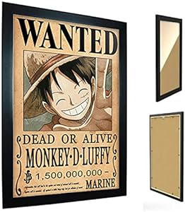 Quadro com Moldura One Piece Review